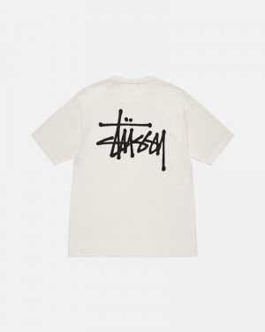 Tops Stussy BASIC PIGMENT DYED Bege | 41832-EJTU