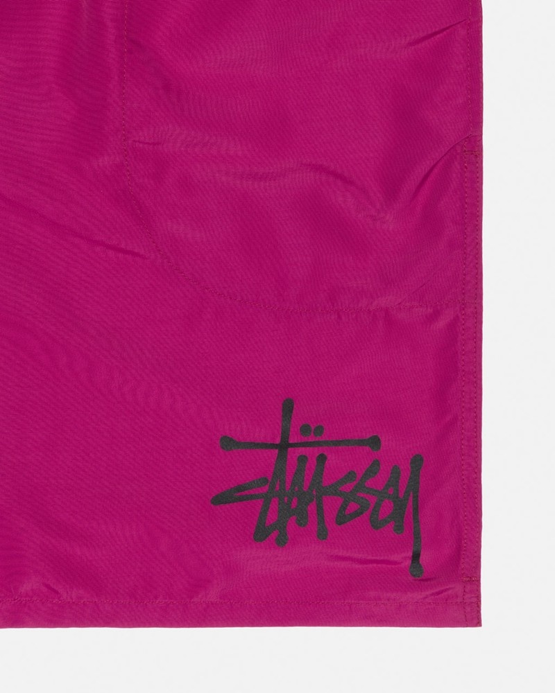 Calças Stussy WATER SHORT BIG BASIC Roxo | 21704-ZTPX