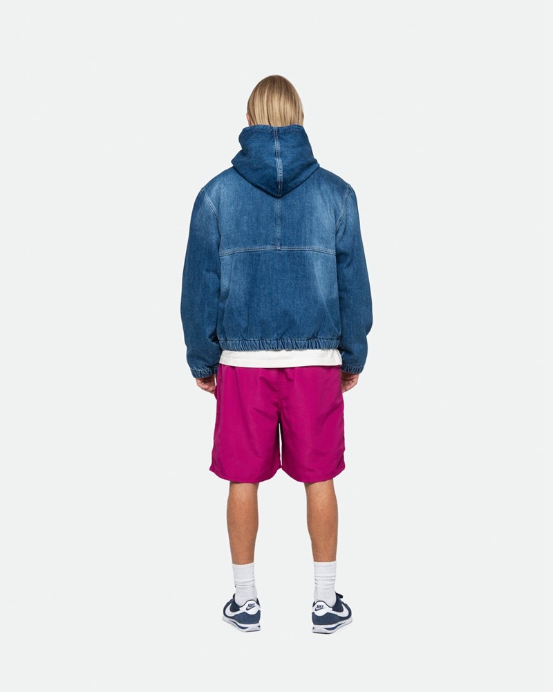 Calças Stussy WATER SHORT BIG BASIC Roxo | 21704-ZTPX