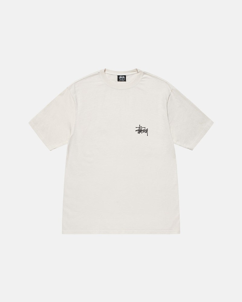 Tops Stussy BUILT TOUGH PIGMENT DYED Bege | 54839-AWGX